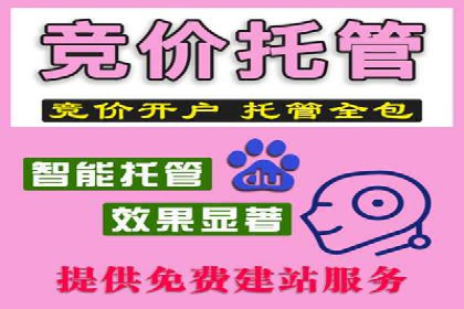 SEM代运营机构案例：如何提升广告效果